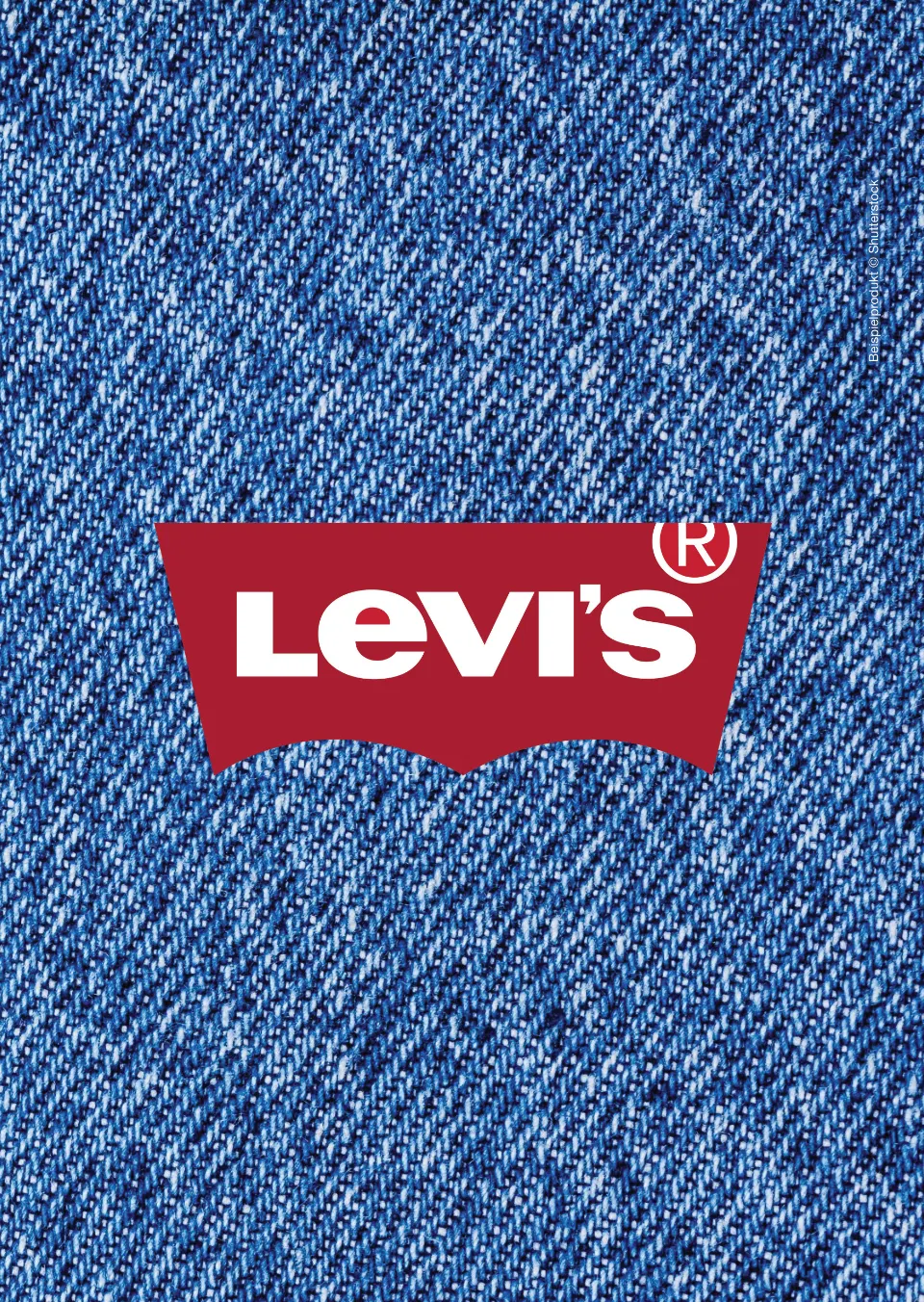 Levi's Denim-Struktur Poster